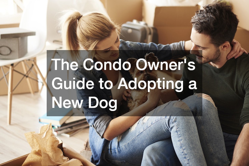 The Condo Owner’s Guide to Adopting a New Dog