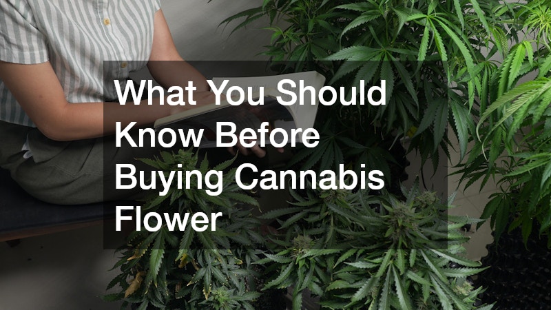 What You Should Know Before Buying Cannabis Flower